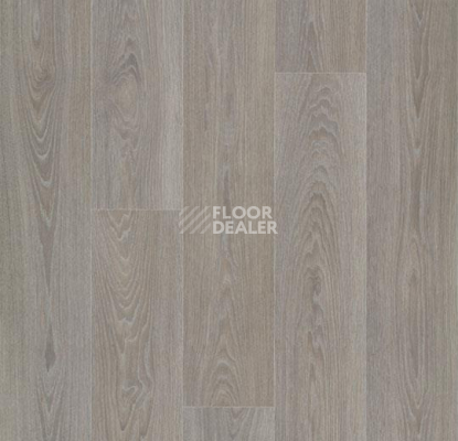 Линолеум Forbo Eternal Wood 13952 greywashed timber фото 1 | FLOORDEALER